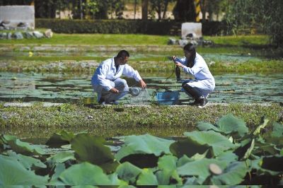 水务局组织探访官厅水库黑土洼湿地。京华时报记者 王海欣 摄