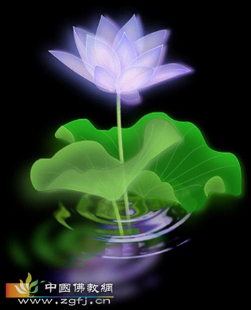 佛教对神秘感应的现象看法如何。