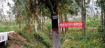 原阳县临近公路的田地，挂着不少禁止焚烧秸秆的条幅