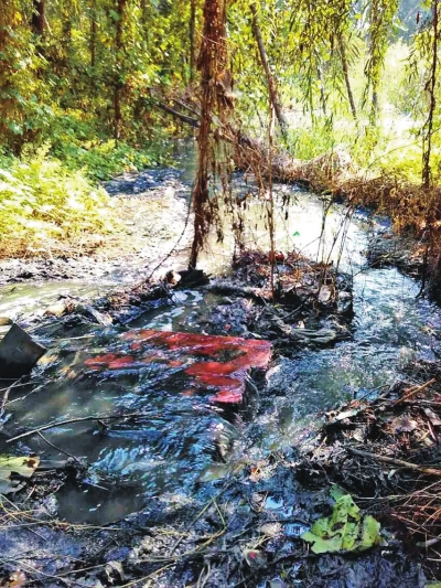 20多天過去了，污水仍然向西流湖排放。