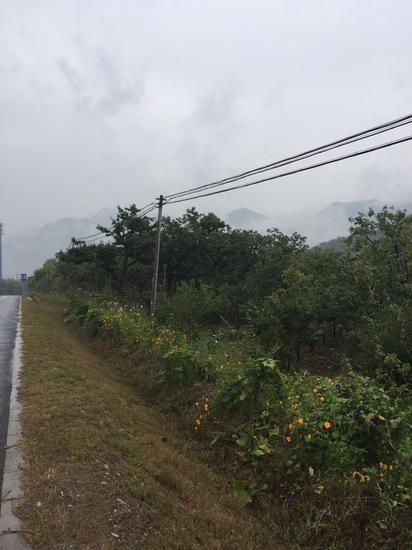 我和板栗有个约会--怀柔游玩攻略|国庆|怀柔|板