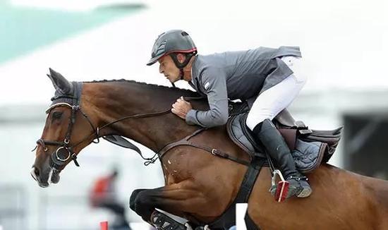 什么?马儿口吐白沫是好事 代表愿意与骑手合作