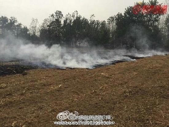 河南全省监测到54处秸秆焚烧着火点