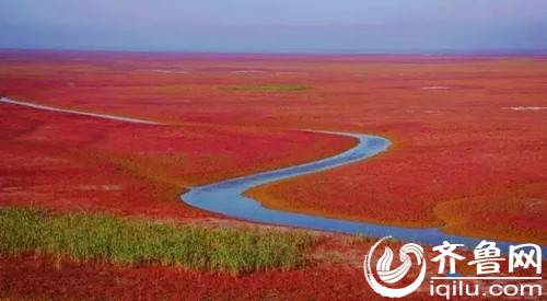 红地毯（图片来自网络）