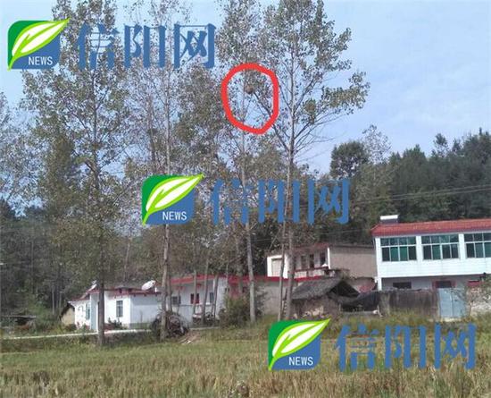 圖自信陽網(wǎng)