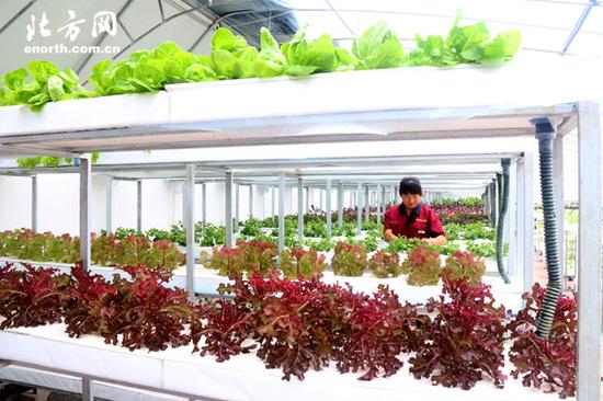 新《食安法》实施 津城百姓餐桌有了守护神