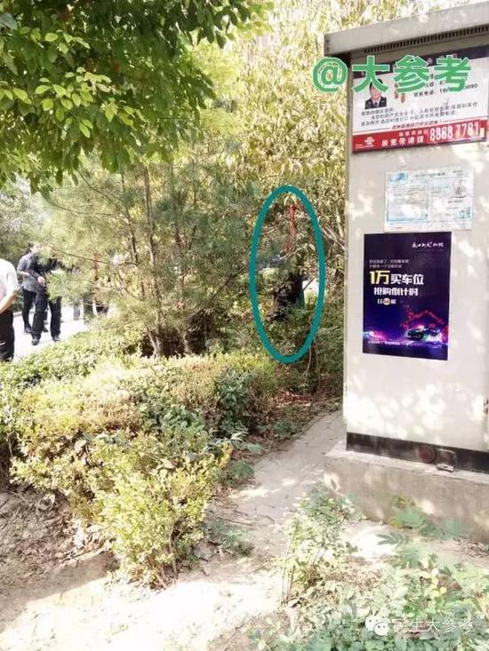  老人跪着上吊 儿子被砸鸡蛋.图_手机新浪网