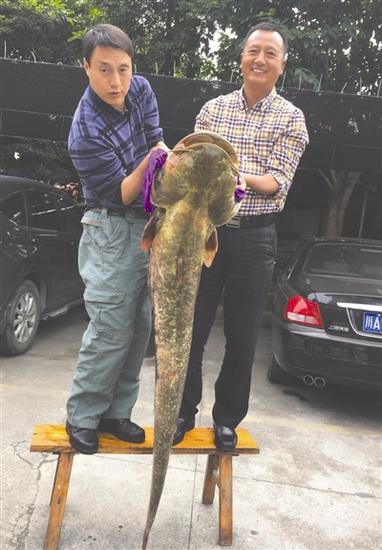 圖片由當事人提供