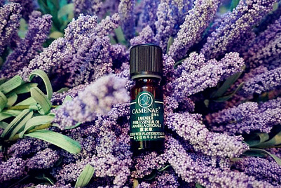 嘉媚乐塑秋季零敏肌