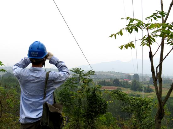 淅川電網運行維護人員認真巡視線路設備
