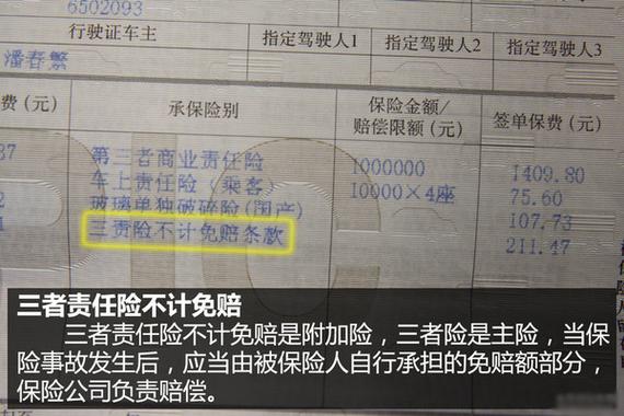 车险解读 车辆撞死狗可否找保险赔偿_长沙汽车