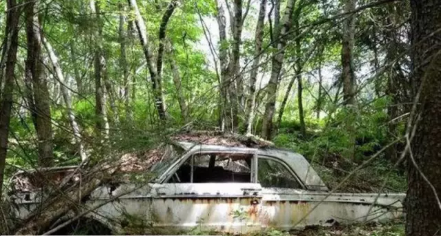 一辆车开多久最划算？不看准吃亏！