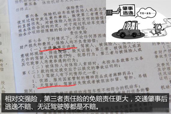 车险解读 车辆撞死狗可否找保险赔偿_长沙汽车
