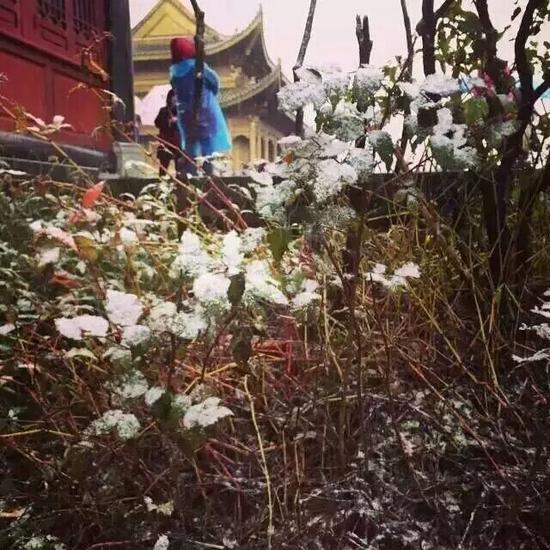 峨眉山下雪