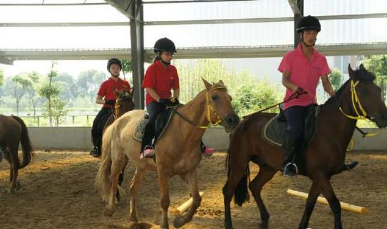 科学研究:骑马提高自尊自信 青少年与马亦师亦
