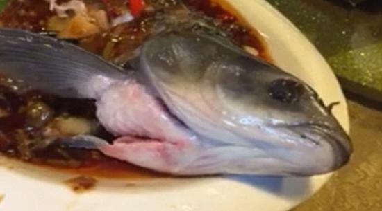 尽管这条鱼的大部分身体已经被分解煮熟，但依然能在盘子上移动，并不断拍打它的鱼鳍。（网页截图）
