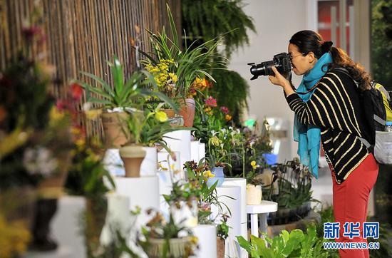 9月29日，第四届中国兰花大会在北京房山区长阳镇兰花文化休闲公园开幕。图为观众正在拍摄名贵兰花展品。新华网 陈竞超 摄
