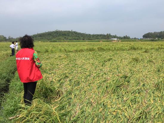 彩虹无情 人保有爱