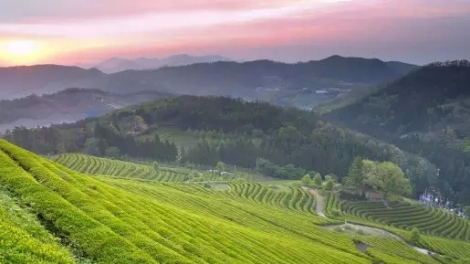 内要建百个特色小镇 1个小镇就可以是1个5A级