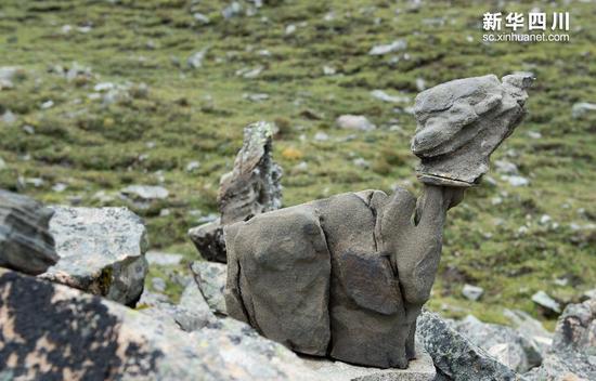 奇石滩中形态各异的奇石（10月8日摄）。