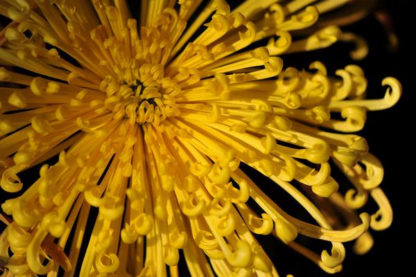 新浪数码 - 手机|数码相机DC|笔记本|平板电脑i