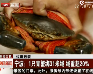 海鲜市场伤不起:1只青蟹绑31米绳 绳重超20%