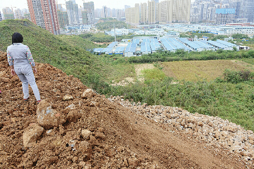 9月29日,南胡村张女士家的果园地中被倒上了渣土。