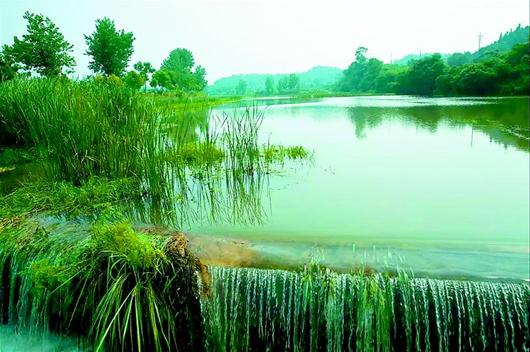 图为：天然湿地引人入胜——夷陵区青龙村