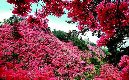 图为：木兰云雾山盛景——黄陂区张家榨村