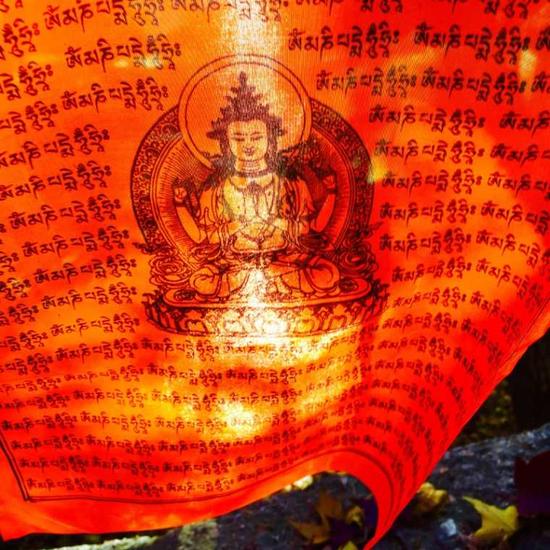 学佛心路：我走的是坦途