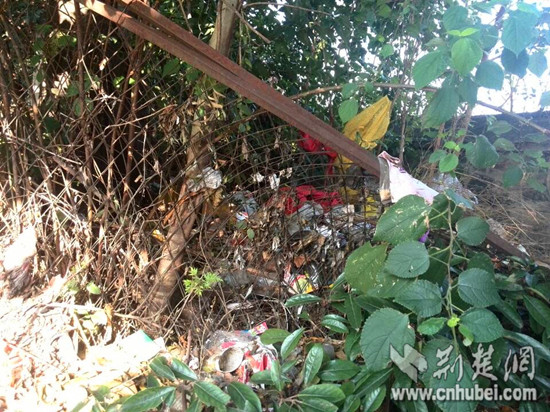 武汉长江大桥绿化带成垃圾带 增设铁丝网仍遭