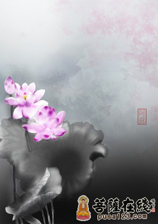 一花一世界