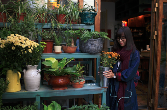 泉乐坊里的少女和花。