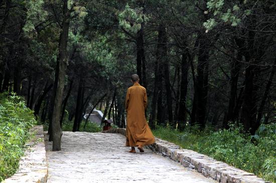 清晨,肃静安宁的灵岩寺 北寒