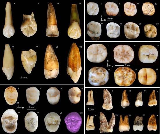 我国首次发现世界最古老现代人牙齿