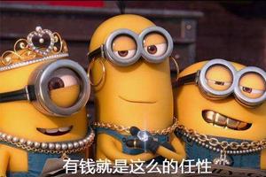 有钱就是任性
