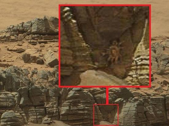 10�³����������Ʒ��ֲ��ڻ��Ƕ�Ѩ�еġ��������з��