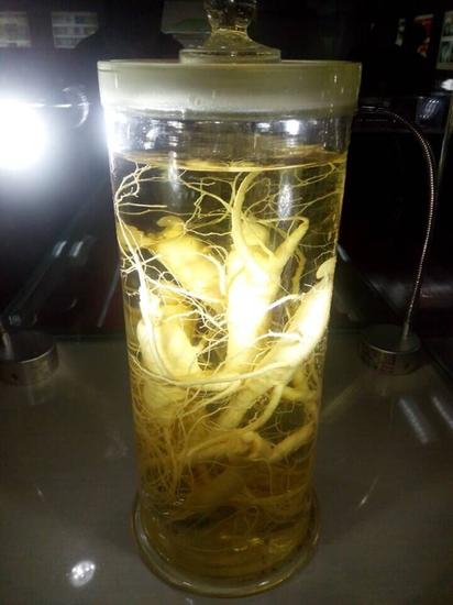 山东颐阳酒业生产的西洋参酒。