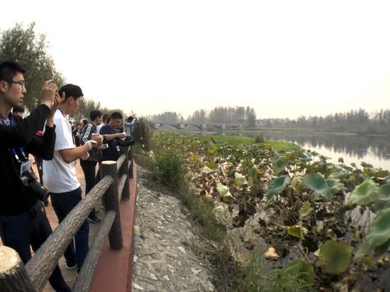 临沂武河湿地公园中的秋季美景吸引了采访团记者。大众网记者 摄