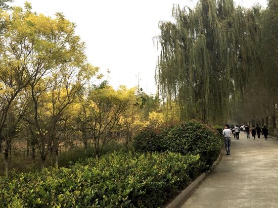 10月15日，第十一届中国网络媒体山东行采访团来到临沂武河湿地公园采访。大众网记者 摄