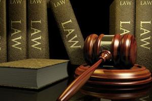 20条愚蠢的法律