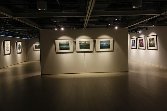 “心观万象：陆春涛2015香港个展”展览现场