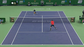 帅呆!特松加鱼跃救球 网前截击拿到赛点(gif)