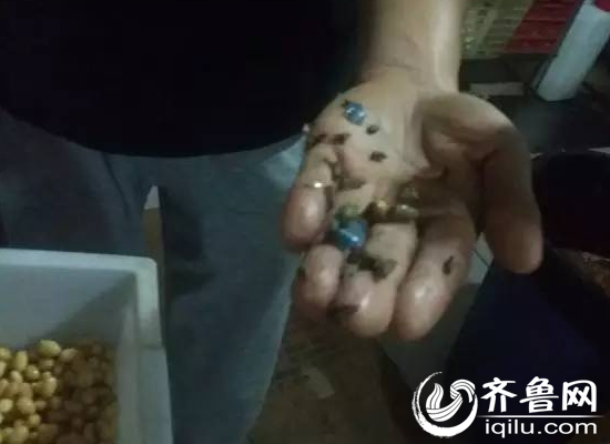 李师傅向记者展示黄豆中挑出的老鼠屎（视频截图）