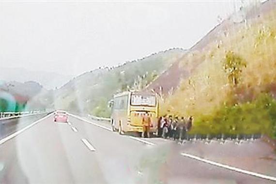 司机高速路上内急 应急车道停车被记12分