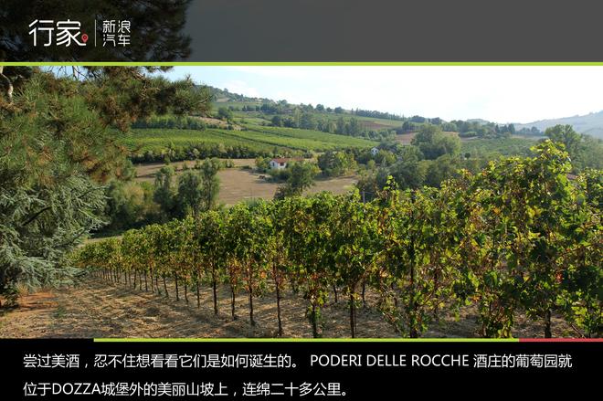 深游意大利 葡萄酒庄园请来