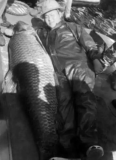  千岛湖180斤鱼王 出水 身长175公分鳞片有拳头