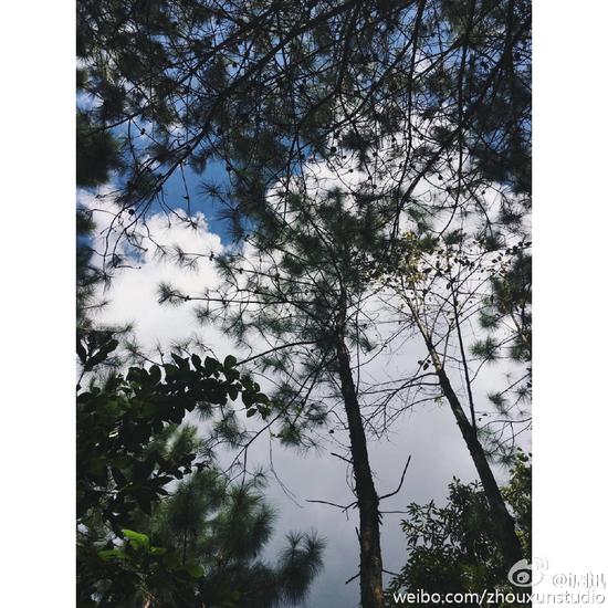 周迅拍摄综艺《西游奇遇记》