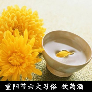 重阳节六大习俗 饮菊酒