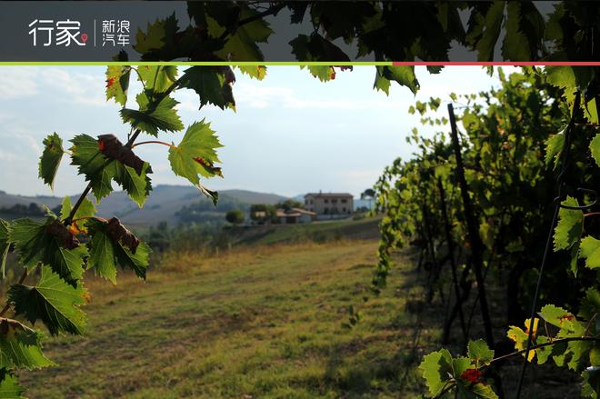 深游意大利 葡萄酒庄园请来